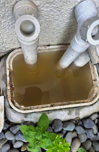 https://plumbernollamara.com.au/uploads/2025/06/blocked-drains-912576.jpg